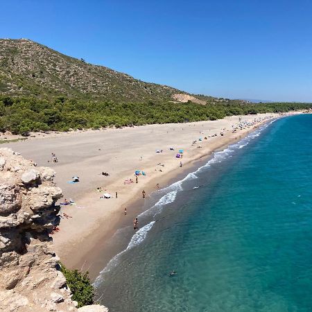 דירות Miami Playa Evasion מראה חיצוני תמונה
